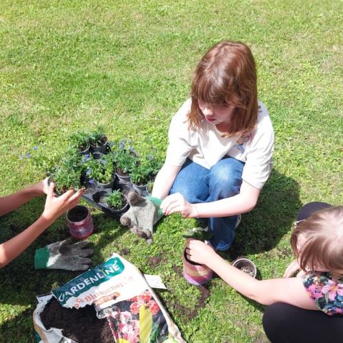 Kinder beim Einpflanzen