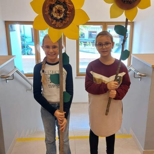 Sonnenblumen
